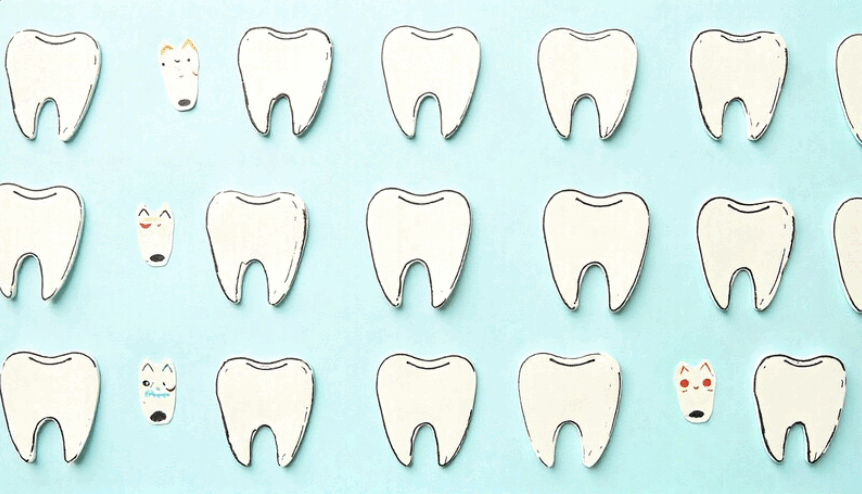 31.02.05 «Стоматология jртопедическая» на GeeTest
