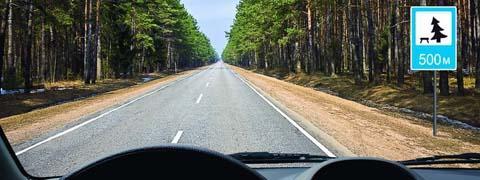 Правила дорожного движения - picture 9760