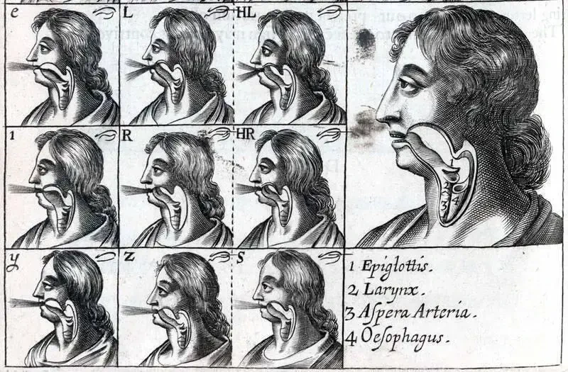 иллюстрация из работы Джона Уилкинса (John Wilkins) «Опыт о реальном символе и философском языке»