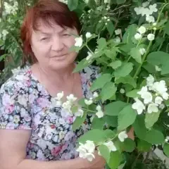 user 11355 (#11355)
