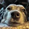user 11359 (#11359)