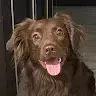 user 6958 (#6958)