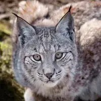 user 8266 (#8266)