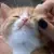 user 8708 (#8708)