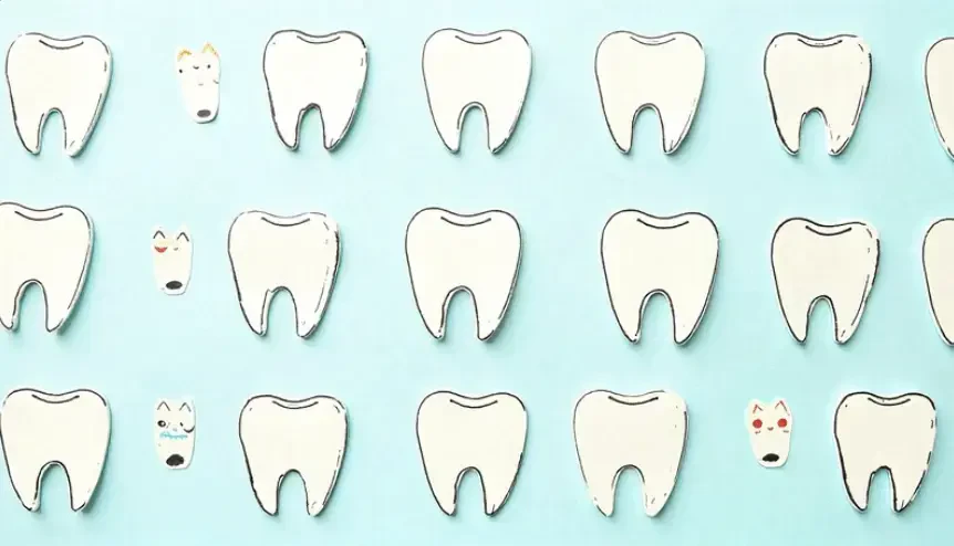31.02.05 «Стоматология jртопедическая» на GeeTest
